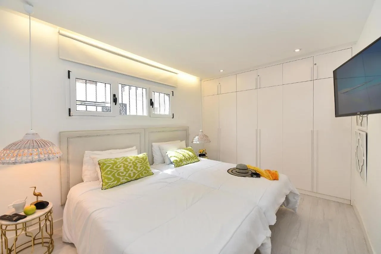 Monte Rojo San Agustin Sea Views Apartment 马斯帕洛马斯